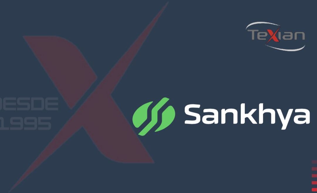 Texian Anuncia Implementação do ERP Sankhya para Potencializar sua Gestão e Processos