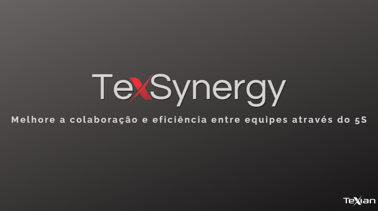 TexSynergy – Como vai funcionar?